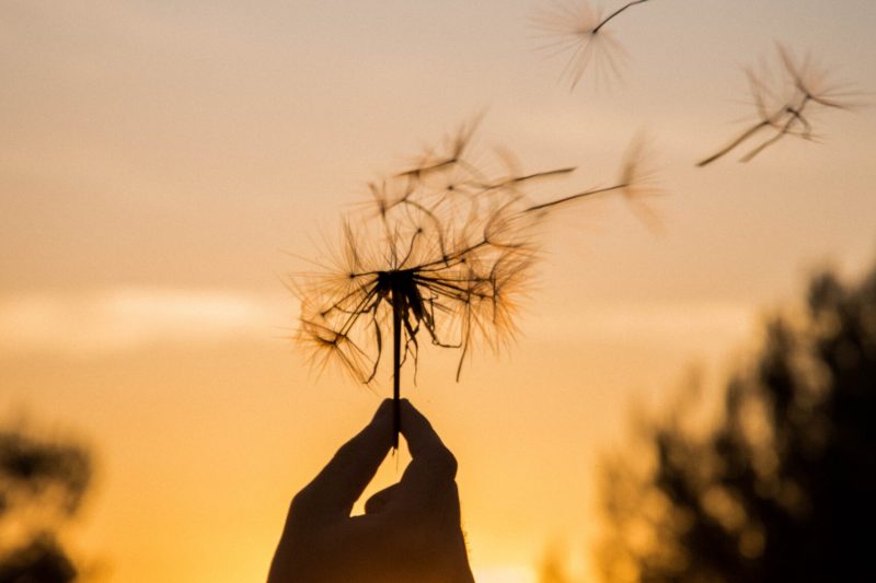 daphne-richard-IFsvZ9bqwAU-unsplash